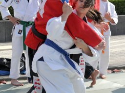 Bilder aus 2011